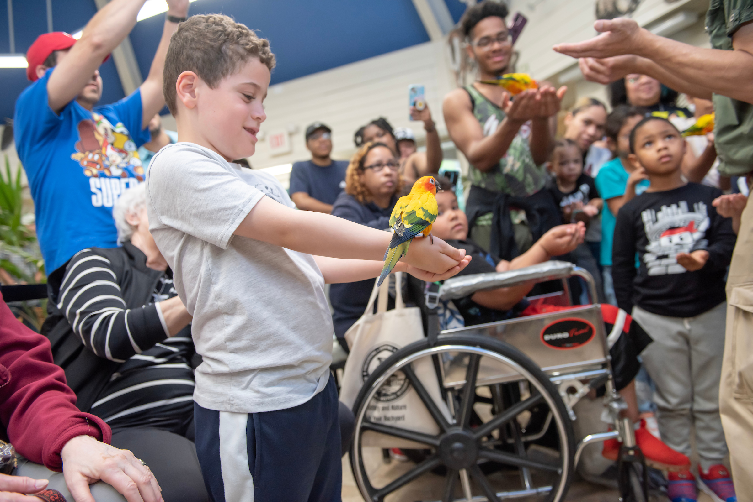 A ranger in a green shirt standing almost out of the frame stands in front of a group of children, several of which are holding yellow, green, and orange parrots in their outstretched hands, smiling.