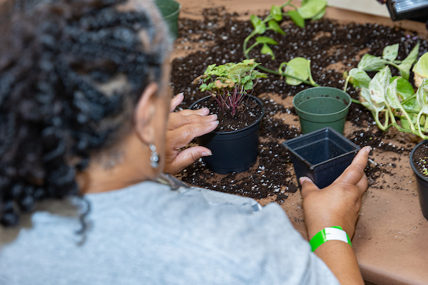 Woman planting a plant in a small pot