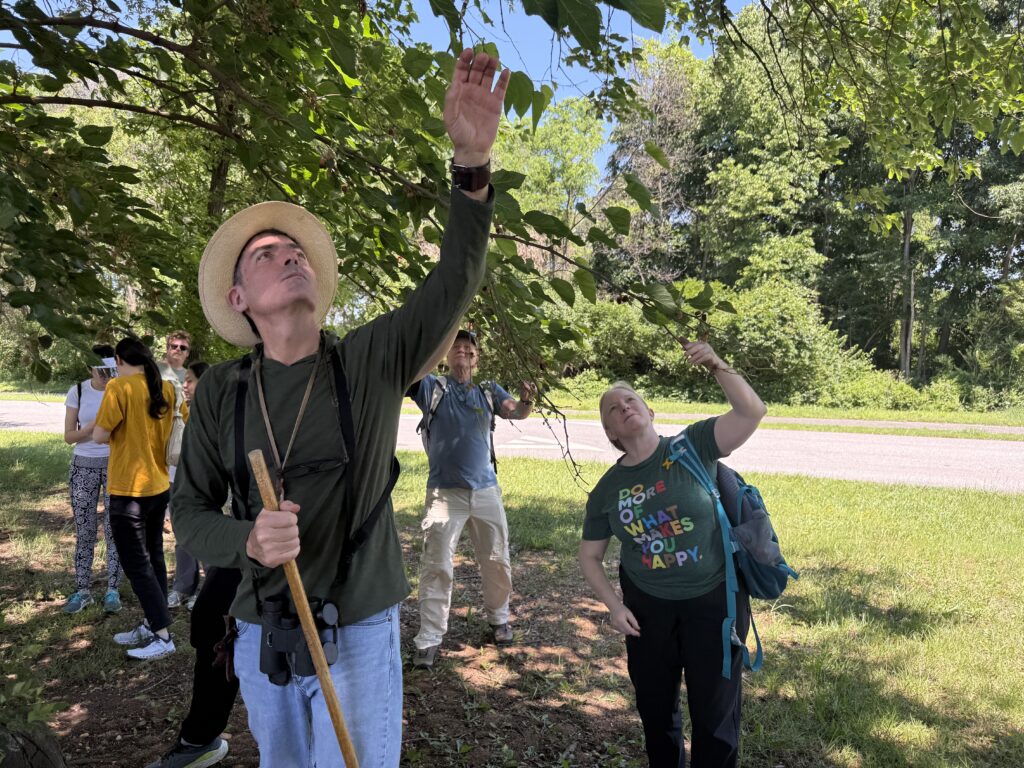 Outdoor Adventures: Jug Bay Wetlands Sanctuary in Lothian, MD