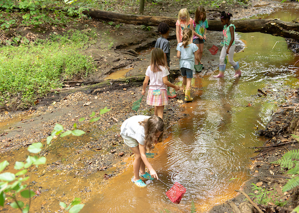 Seven kids wearing rain boots and crocs stand in a shallow creek, exploring. They all hold small nets.