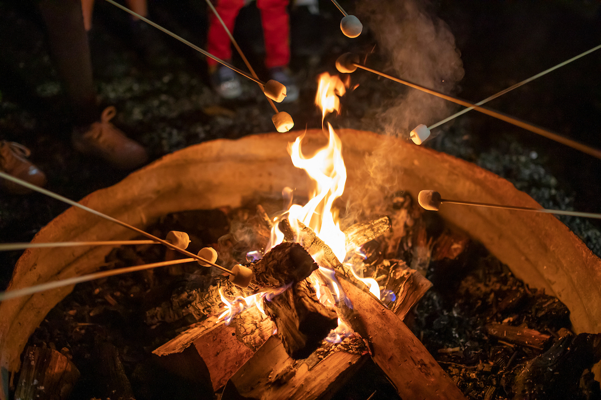 Marshmallows on sticks are being toasted over a campfire at night.
